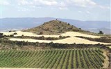 Za vínem a gastronomií - Španělsko - Španělsko - La Rioja, v provincii se víno pěstuje již od dob Féničanů