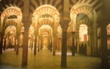 Andalusie - Španělsko - Andalusie - Cordoba, Velká mešita, 450 sloupů z žuly jaspisu a mramoru podpírá strop